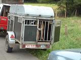 VOITURE - CAR 237
